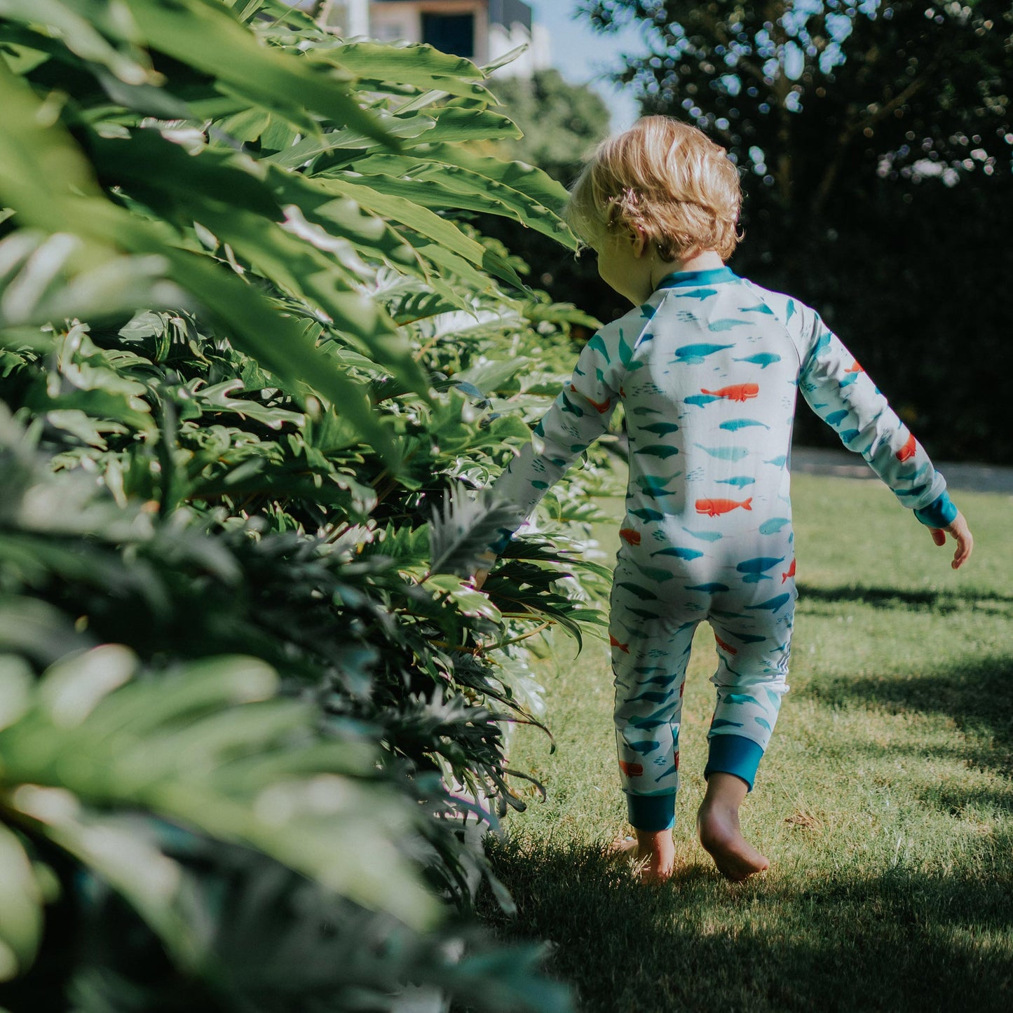 Toddler wearing Pipi Swimwear narwhal full coverage sunsuit